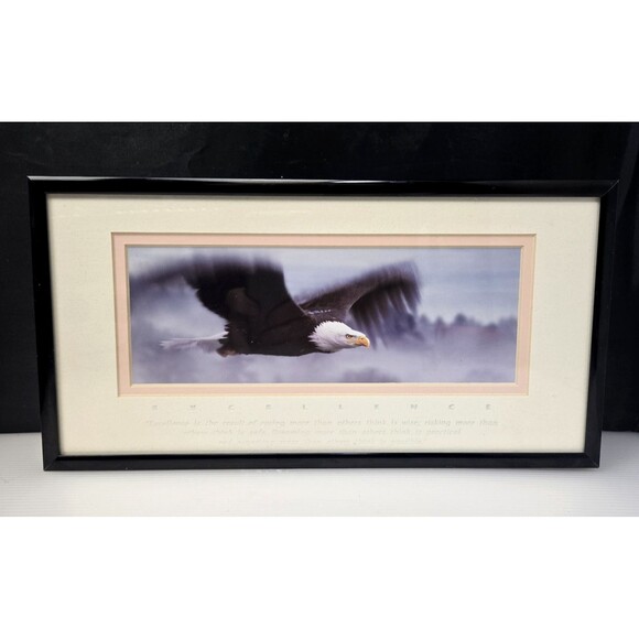 Excellence King Of The Skies Eagle Framed Photo Art Frank Oberle Photography - Picture 1 of 13